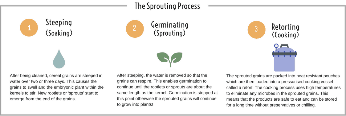 EDME - The Sprouting Process