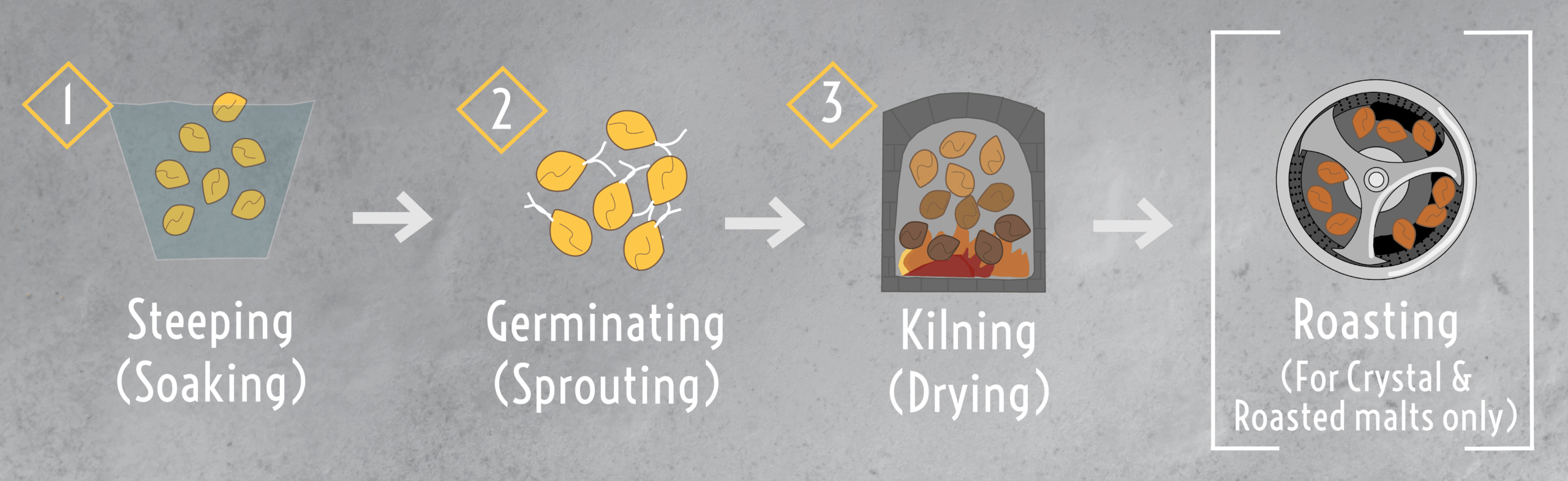 malting process with roasting (2)
