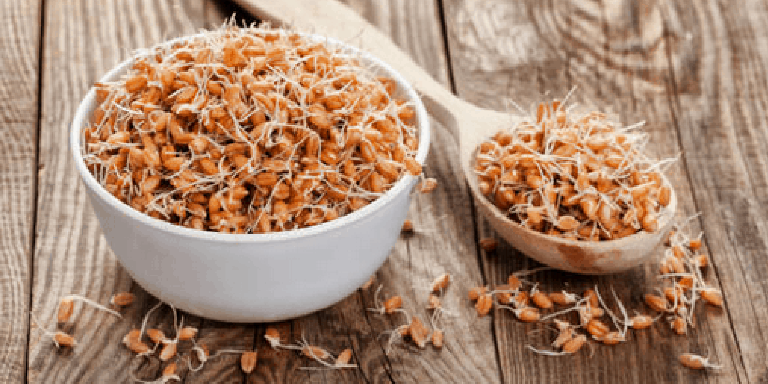 sprouted grain